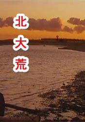 警熊初更(三部)阅读
